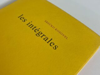 Integrali/Les Intégrales